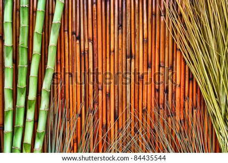 Asian inspired green bamboo plants stems and Eastern wild grass decor with a natural fiber screen grunge background