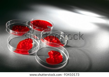 Laboratory Petri dish with live virus or growing bacteria culture in red media solution for a biotechnology experiment in a science research lab