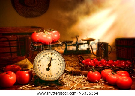 Organic tomatoes on an antique scale on a traditional country farm produce stand wood table in a vintage rural barn lit by soft diffused sunlight