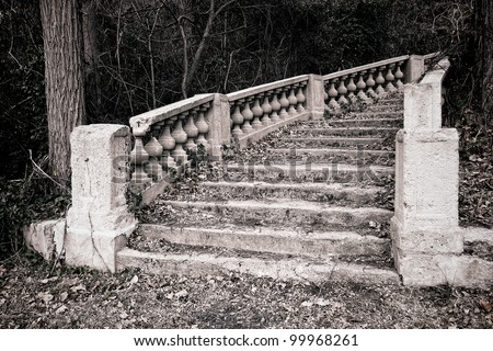 Abandoned castle marble monumental staircase with old worn stairs in overgrown woods and thick vegetation in a forest