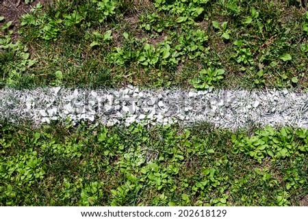 Straight white chalk line marking on grass background.