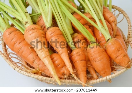 Fresh baby carrots Isolated