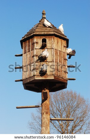 Similar – Image, Stock Photo dovecote Dovecote pigeons