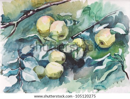 artistic watercolor of ripe apples on branch