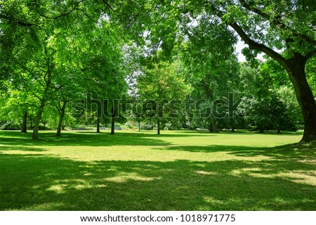 Similar – Image, Stock Photo Spring green meadow with flowers and trees