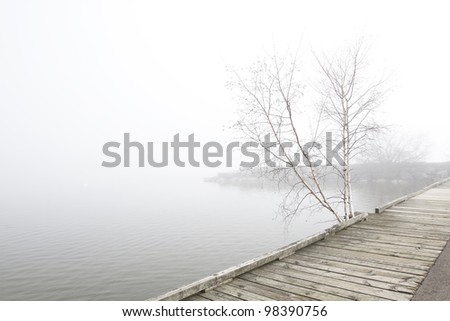 Solitary clump of white birch trees grow near wooden pier extending along foggy Lake Ontario shore. Peaceful landscape, horizontal, desaturated colors, copy space.