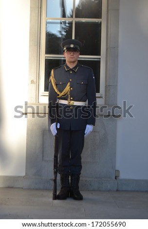 TALLINN, ESTONIA - SEPTEMBER 14, 2013: Honor Guard soldier in Tallinn near the government building, Estonia.