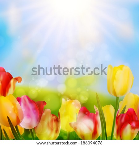 Colorful spring flowers tulips. And also includes EPS 10 vector