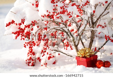 Gift Box and Christmas Balls under Holly Berries bush Covered with Snow. Outside. Winter Sunny Day.