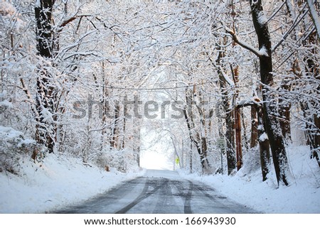 Winter alley with snow covered trees. Rays of the sun fall on frozen branches
