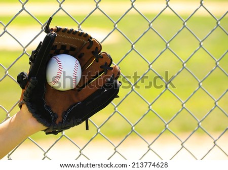 Hand of Baseball Player with Glove and Ball over Field and Net
