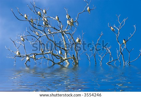 A small flock of birds finding refuge from the flood waters in a leafless tree.