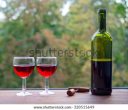 wine party outdoors. Two wine glasses and bottle