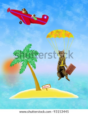 Cat is flying to a lonely island