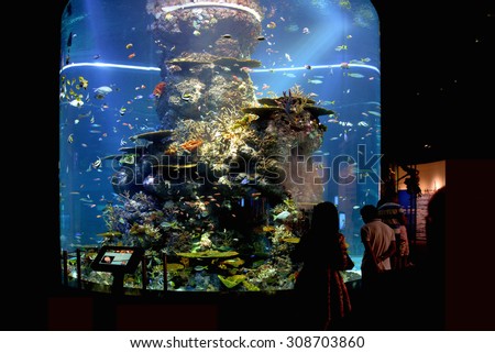 Sentosa, Singapore - April 4, 2014: Tourists are looking at the beautiful fish tank at S.E.A. Aquarium, Singapore.
