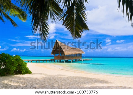 Diving club on a tropical island - travel background