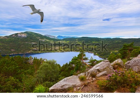 Mountains on the way to the Cliff Preikestolen in fjord Lysefjord - Norway - nature and travel background
