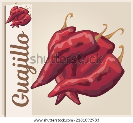 Guajillo chili vector illustration, hot pepper cartoon icon, chile ingredient for mexican kitchen dishes, sun dried red spicy vegetable