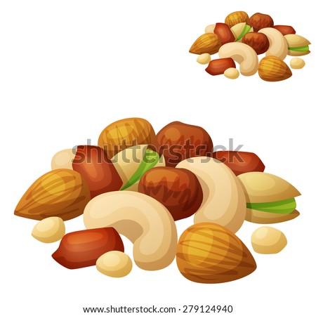 Nuts isolated on white background. Cartoon Vector Icon. Series of food and drink and ingredients for cooking.