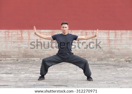 Martial arts master practicing against red ancient Chinese wall, Beijing, China