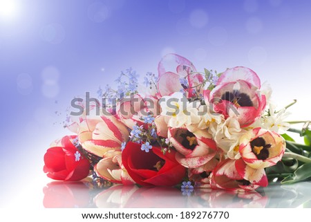 bouquet of spring flowers on a white background