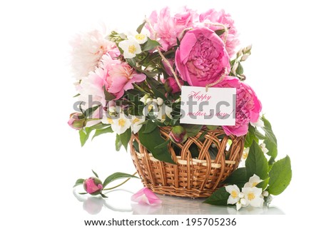beautiful blooming peonies on a white background