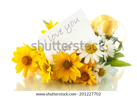 bouquet of yellow and white daisies on a white background