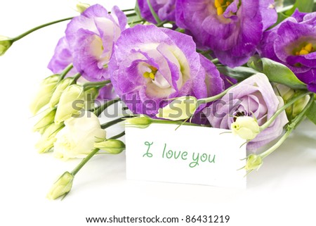 beautiful bouquet of violet chrysanthemums on a white background