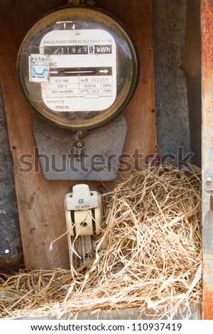 Nest of a sparrow in a cabinet with electrical meter (Vietnam)