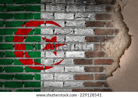 Dark brick wall texture with plaster - flag painted on wall - Algeria