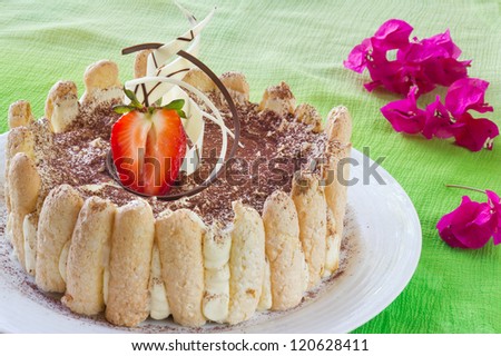 Italian dessert tiramisu Cake decorated with strawberry and chocolate