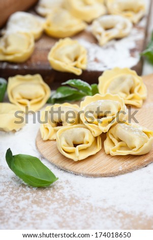 Homemade Italian tortellini and basil leaves on a table