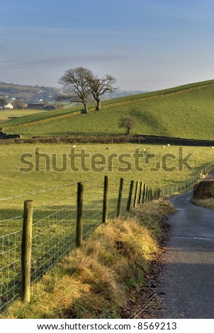 A country road in the English Lake District with a wire and wooden post fence, surrounded by grazing land
