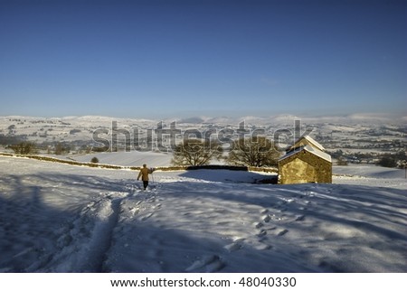 Farmer in snowy countryside
