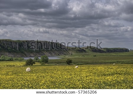 Looking across Hay Meadows to Hadrian's Wall, Northumberland National Park, England