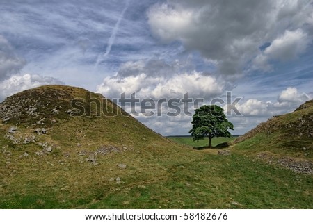 Sycamore Gap on Hadrian\'s wall in the Northumberland National Park