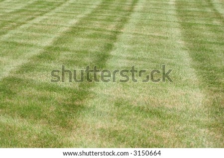 Fresh cut diagonal grass