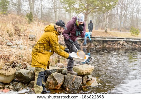 SMALAND, SWEDEN - MARCH 01, 2014: Water sampling with ring net. Team looking for water living animals to put in tray.