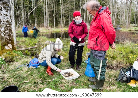 NYBRO, SWEDEN - APRIL 23, 2014: Freshwater excursion. Group of people examining result from collected specimens.