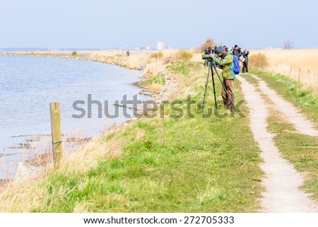 BEJERSHAMN, SWEDEN - APRIL 25, 2015: Unknown birdwatcher looking after migratory birds in wetland as they arrive in early spring. Bejershamn is a protected wildlife reserve known for its birdlife.