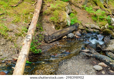Small stream of water with wood debris and boulders in the forest. Slow shutter speed gives movement to the water. Dead tree cross the stream. Small rapids form over stones.