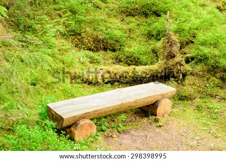 Wooden bench made of timber logs. Bench is located in lush green forest undergrowth in old forest. Moss and vegetation grow on fallen tree in background. No person visible.
