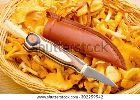 Lovely patterned mushroom knife on chanterelles in a basket. Handle on knife is fitted with a brush and is very nicely layered with different types of wood. Small sharp blade and fine leather sheath.