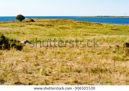 A barren and flat part of the coastline with sparse shrubbery and dry vegetation. It is a calm summer day with warm sunlight and very little wind. Kristianopel, Sweden.