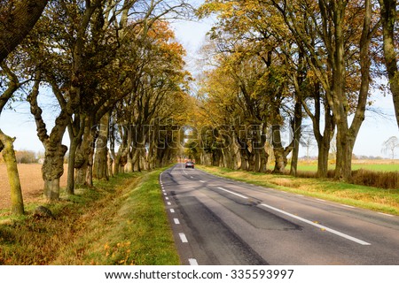 Image, Stock Photo Double avenue from rows of green trees