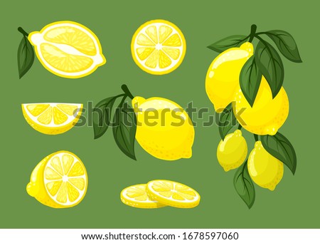 lemons. fresh natural juice exotic tropical fruits sliced healthy products for lemonade. vector cartoon food