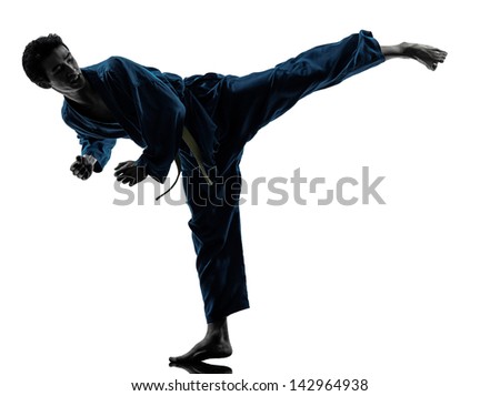 one asian young man exercising martial arts karate vietvodao in silhouette studio isolated on white background