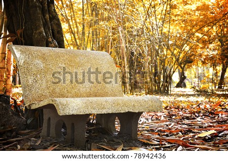 A solitary stone bench for park visitors to sit and relax, bamboo
