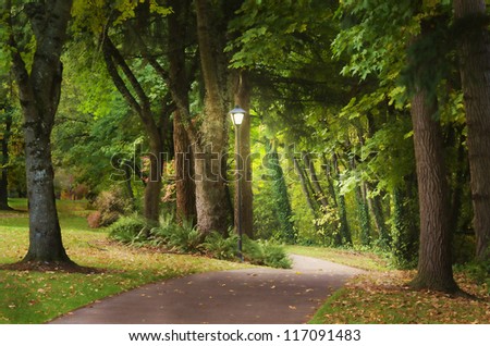 A glowing lamp post at the beginning of a fantasy woodland path beckons the viewer to enter on an adventure filled with new beginnings and hope.