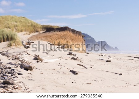 The essence of the Oregon coast with grass-covered dunes climbing down a rugged cliff to the sandy beach with misty headlands in the background.